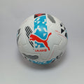 Puma football ball